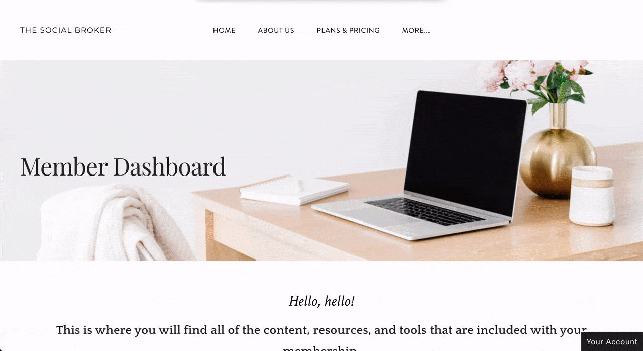 social broker membership